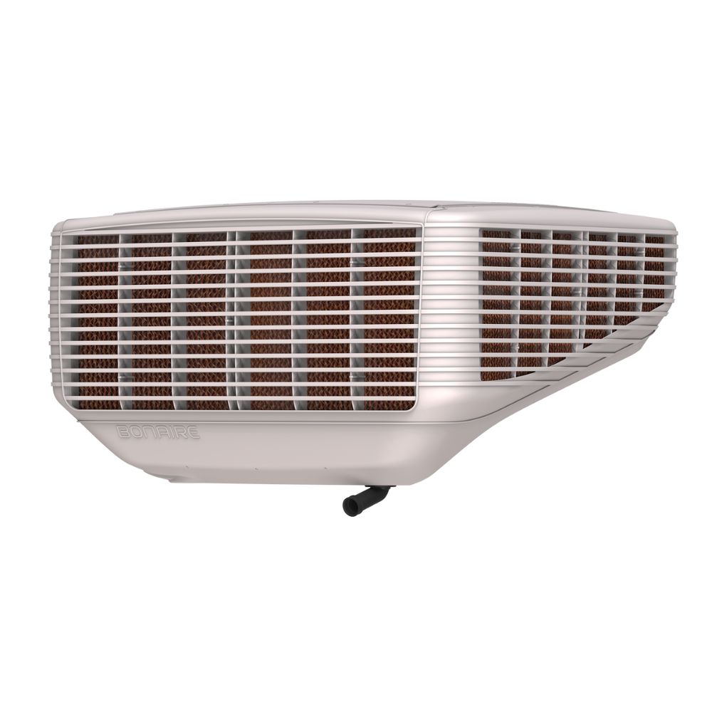 Bonaire Silhouette Beige